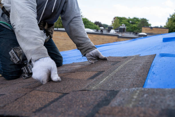 Roof Gutter Cleaning in Tashua, CT